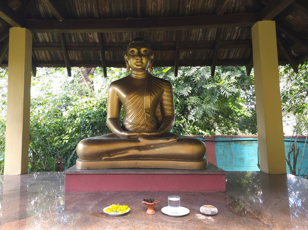 Ayurveda Spring Of Life主图