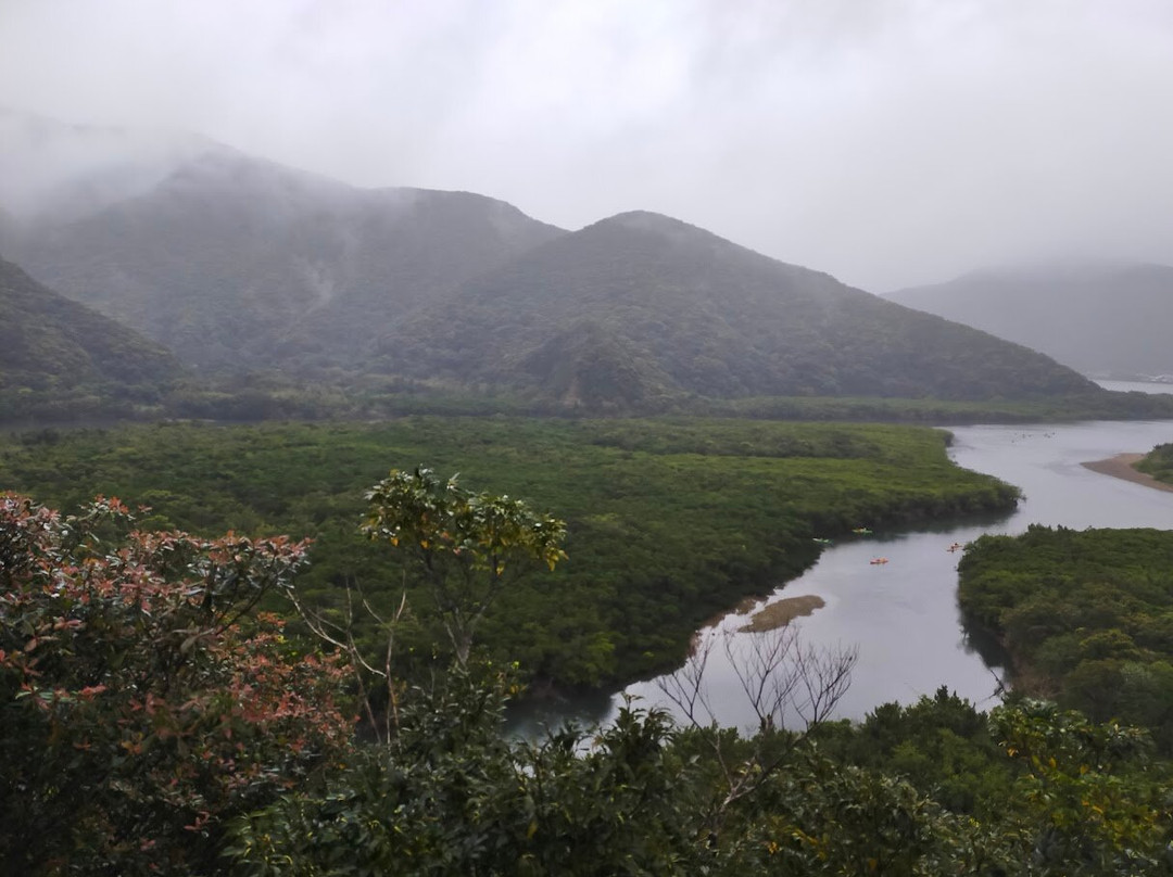 Kuroshio no Mori Mangrove Park-奄美市必去景点