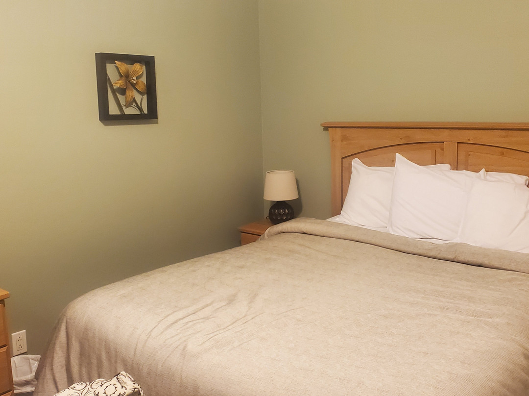 Motel des Cascades主图