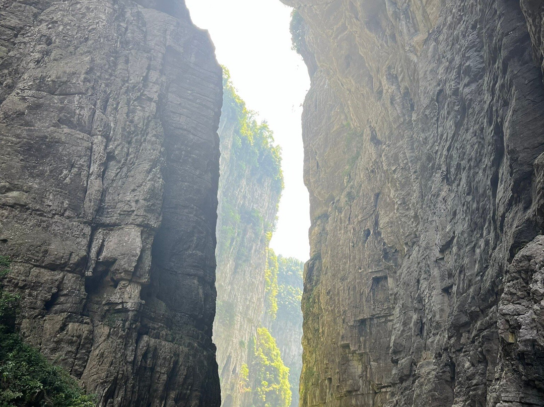 重庆武陵山森林公园景点图片
