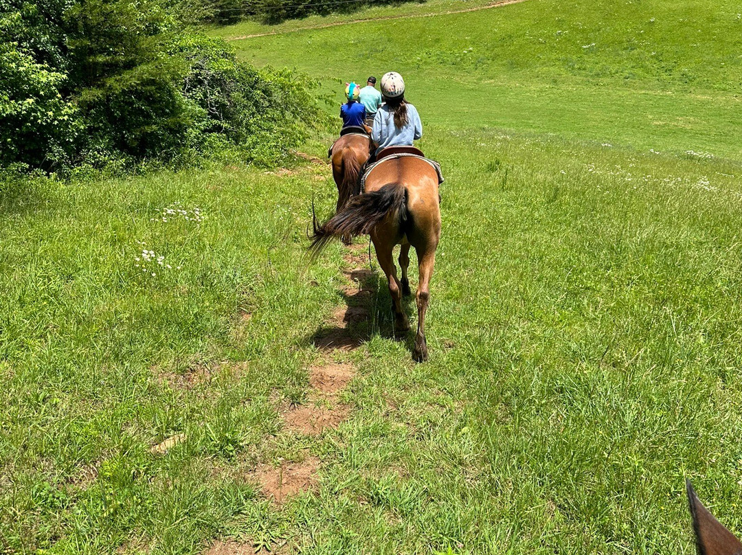 Blue Ridge Mountain Trail Rides At Hells Hollow景点图片