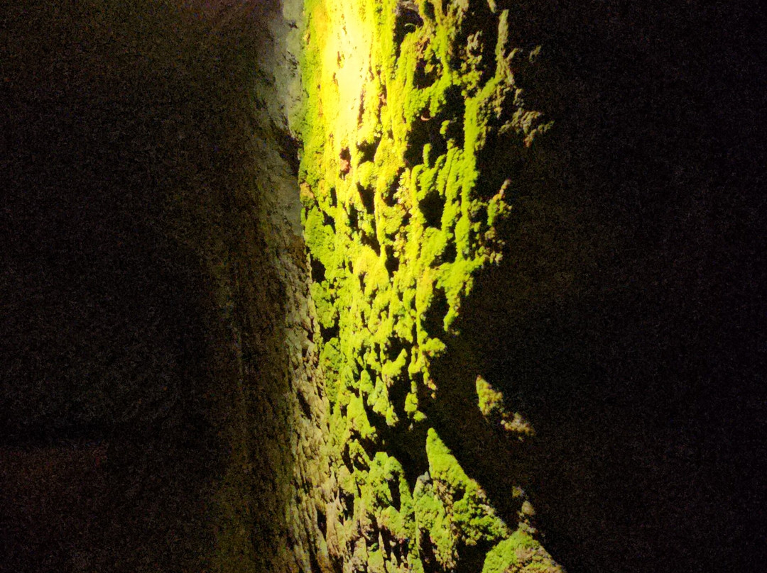 Neopolis Travel-库萨达斯必去景点