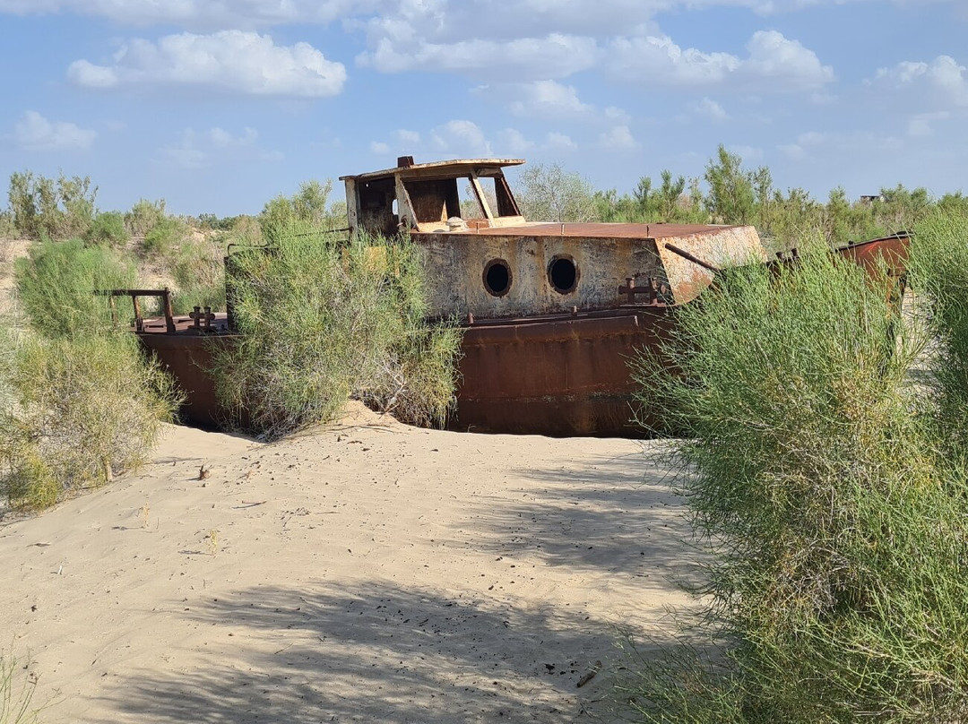 Ships Cemetery景点图片