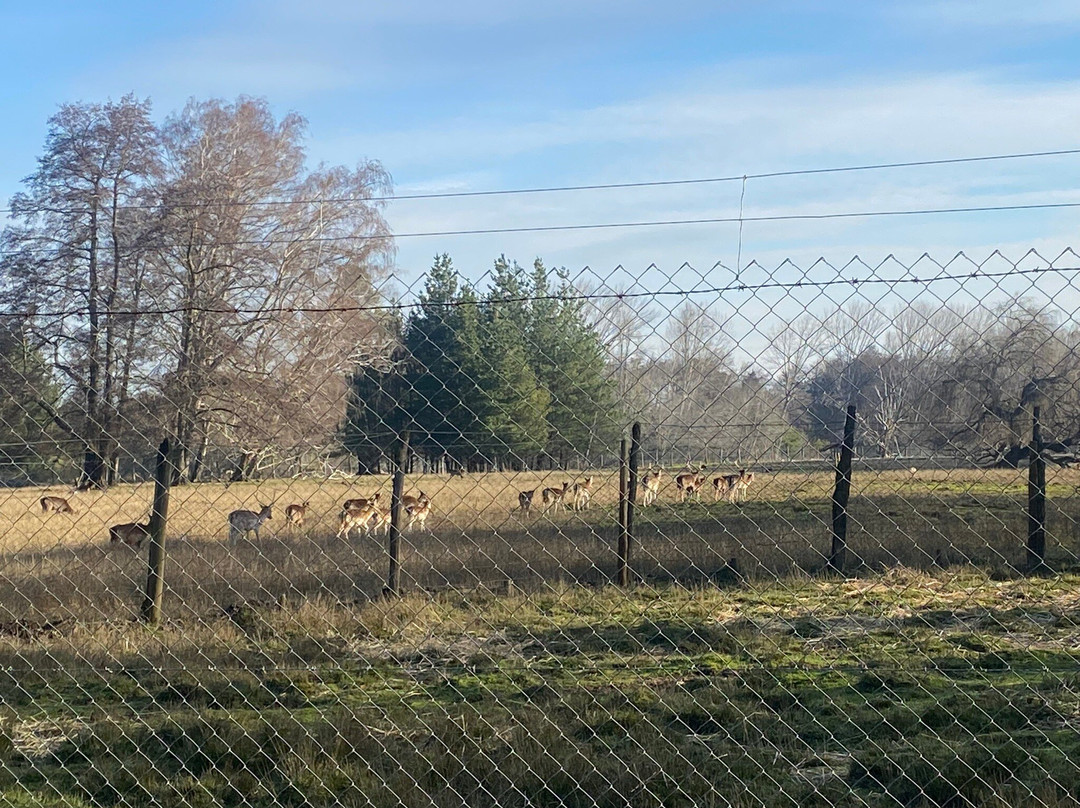 Hotel Salto del Laja主图