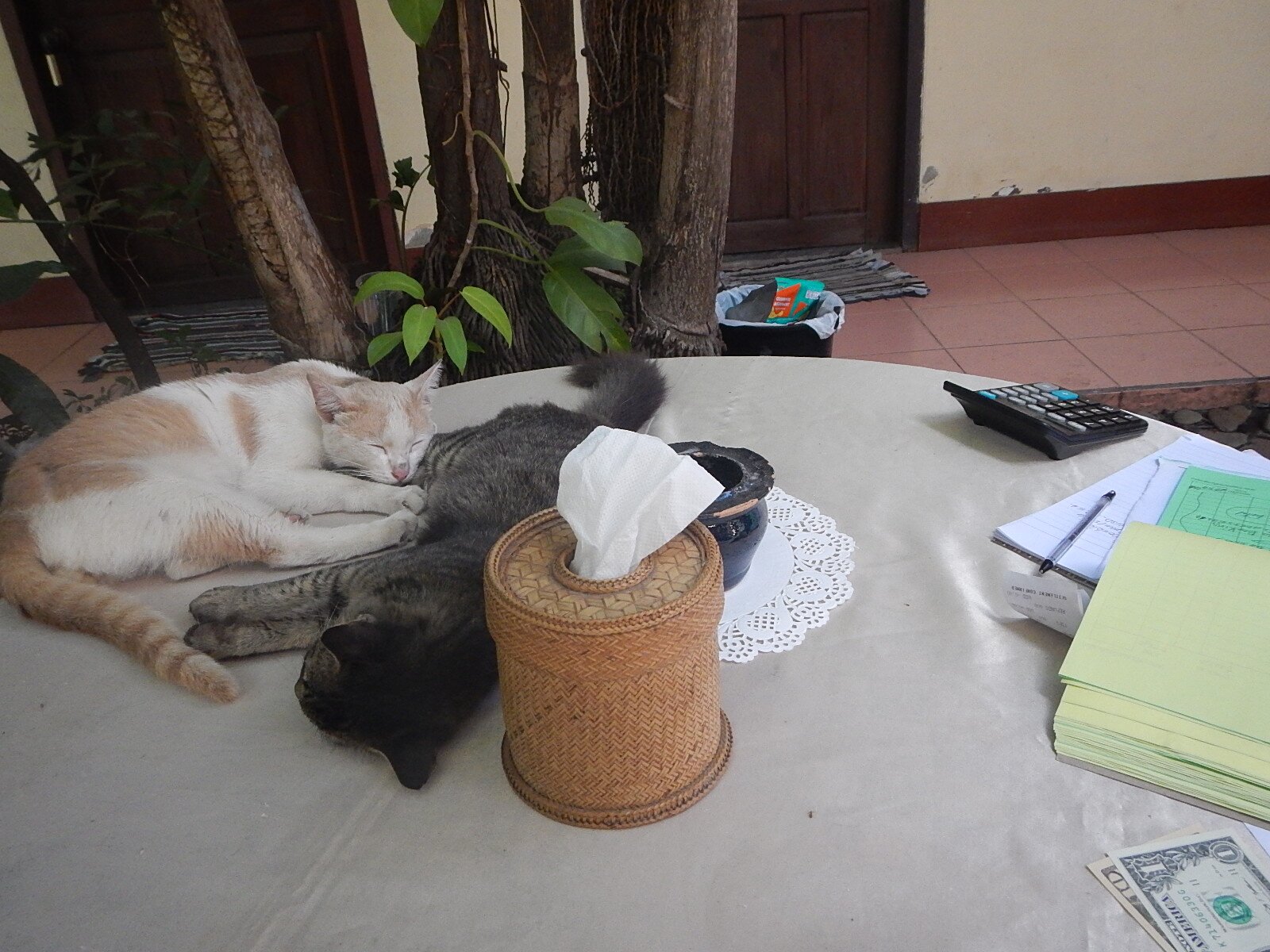 老挝赫安宾馆-浴室