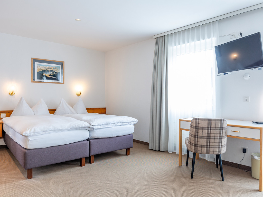 迪斯玛酒店主图