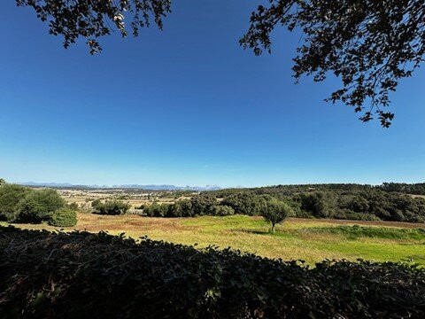 Hotel Es Figueral Nou主图