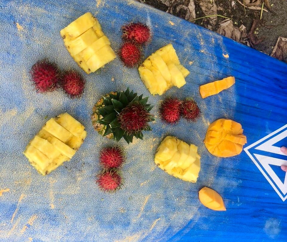 Matapalo’s Original Surf School-Savegre必去景点