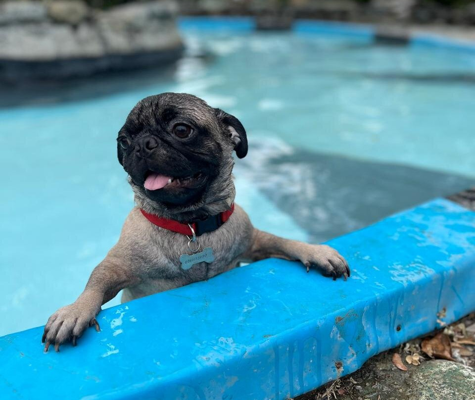 Garza Roja Parque Cultural-瓜亚基尔必去景点