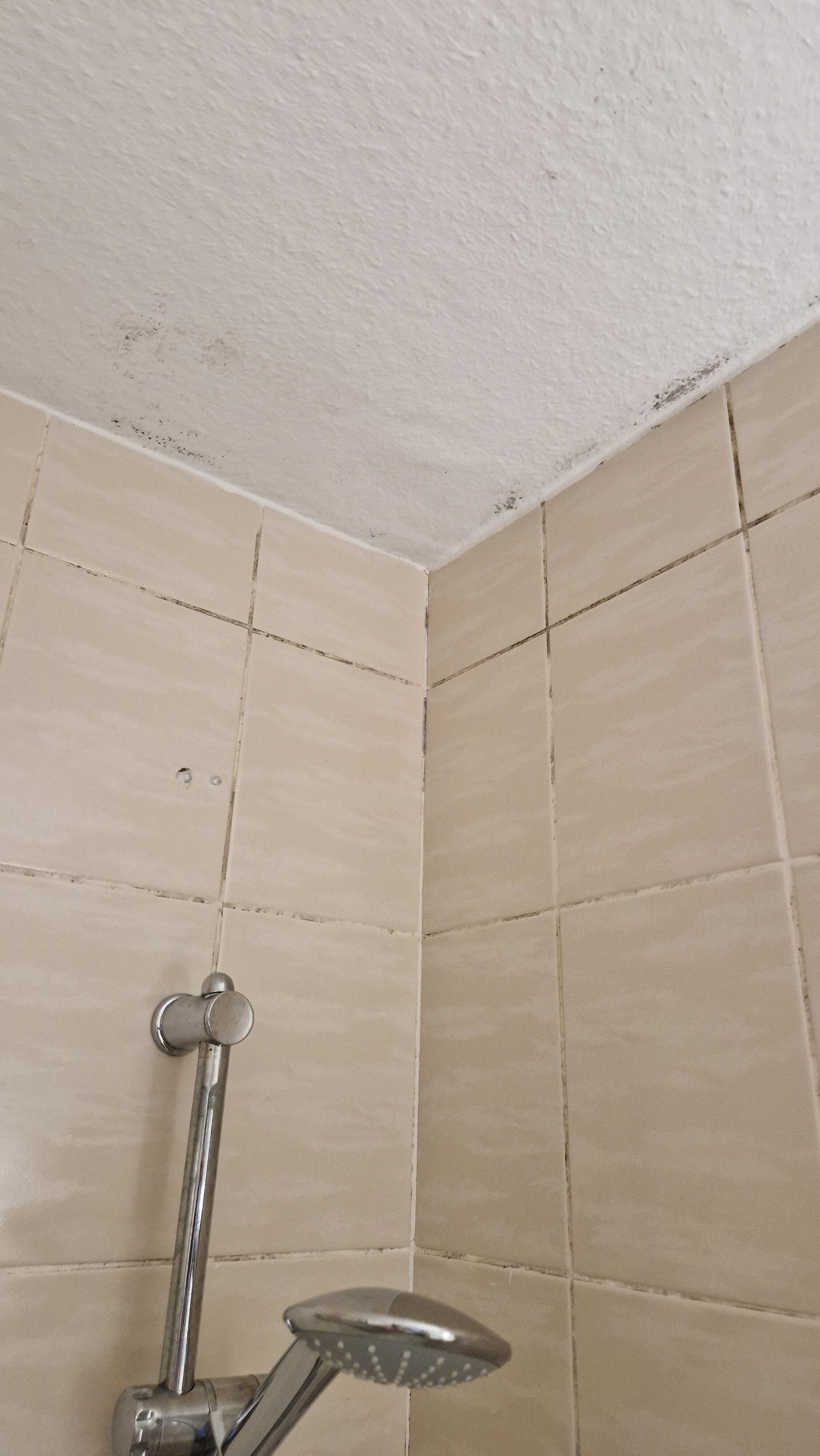 Stadthotel Bartels-浴室