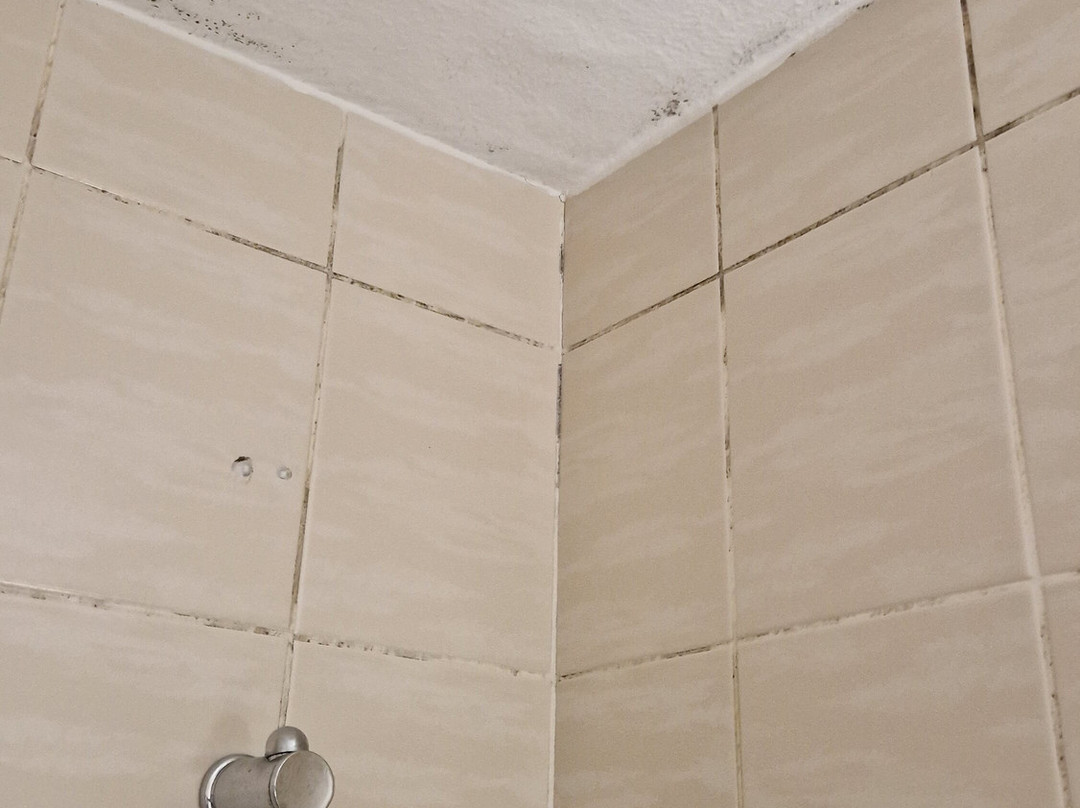 Stadthotel Bartels主图