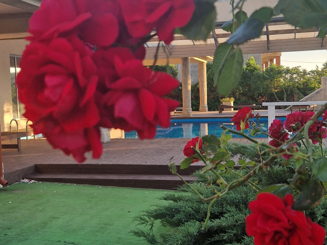 Aleksandria Guest House主图