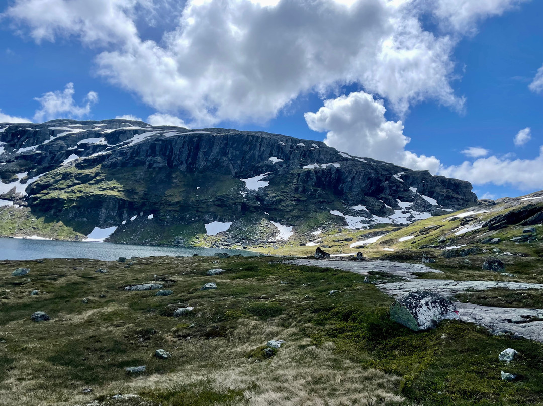 Hardangervidda Nasjonalpar景点图片