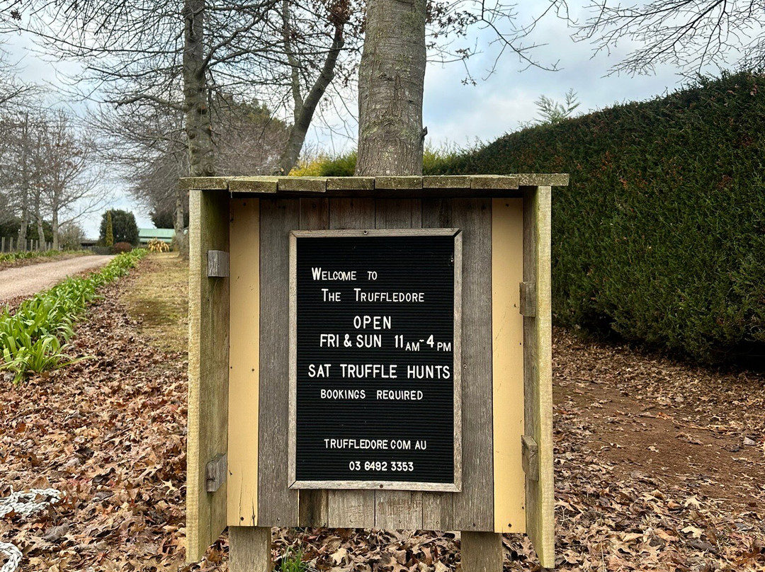 The Truffledore-Barrington必去景点