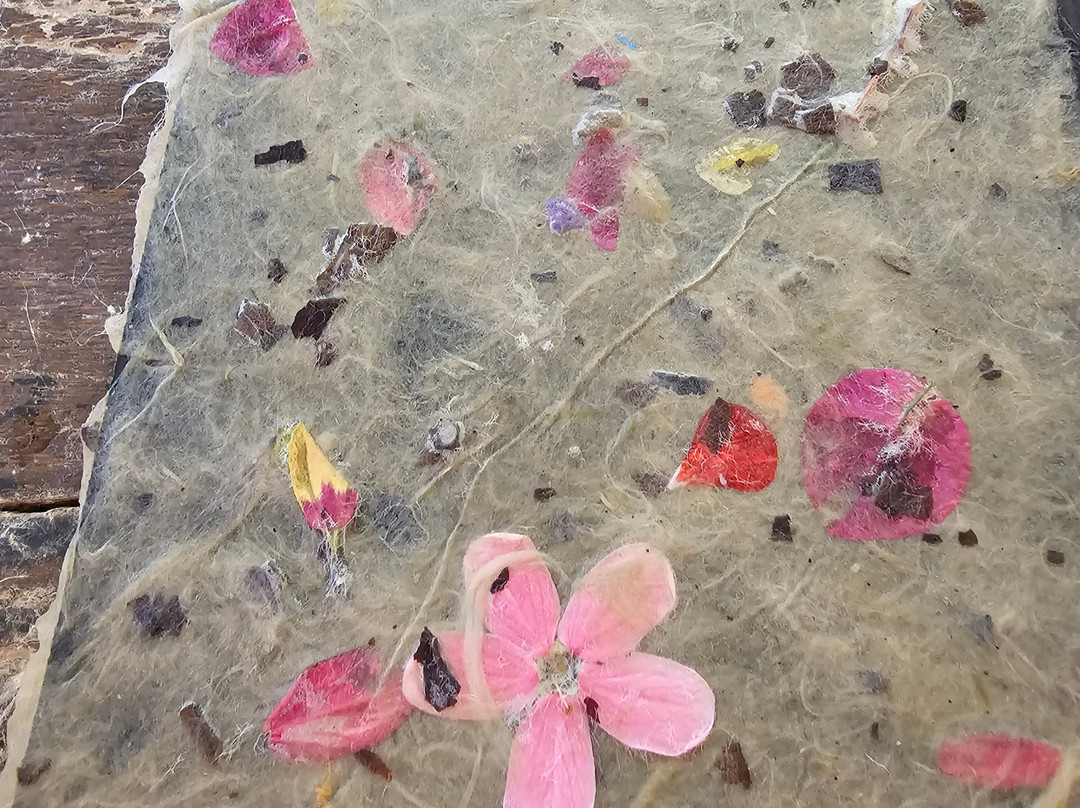 Tut Neyar - Handmade Paper-Zichron Yaakov必去景点