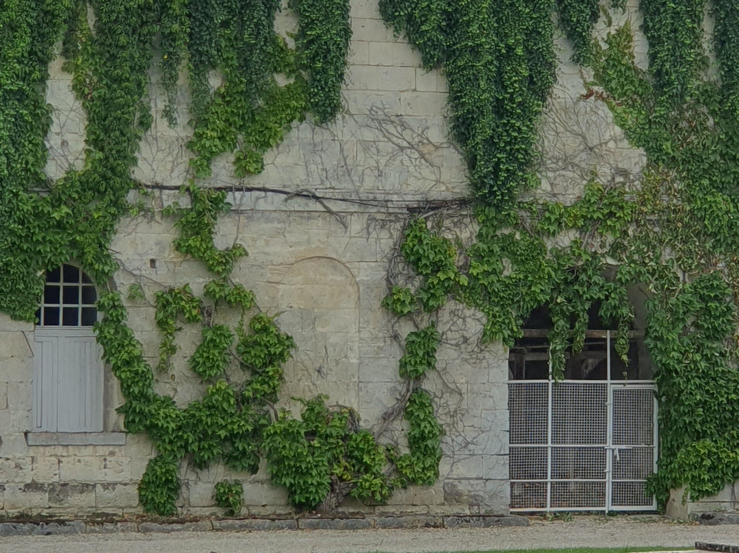 Grand gîte 15 pers La Carriere l'Eveque主图