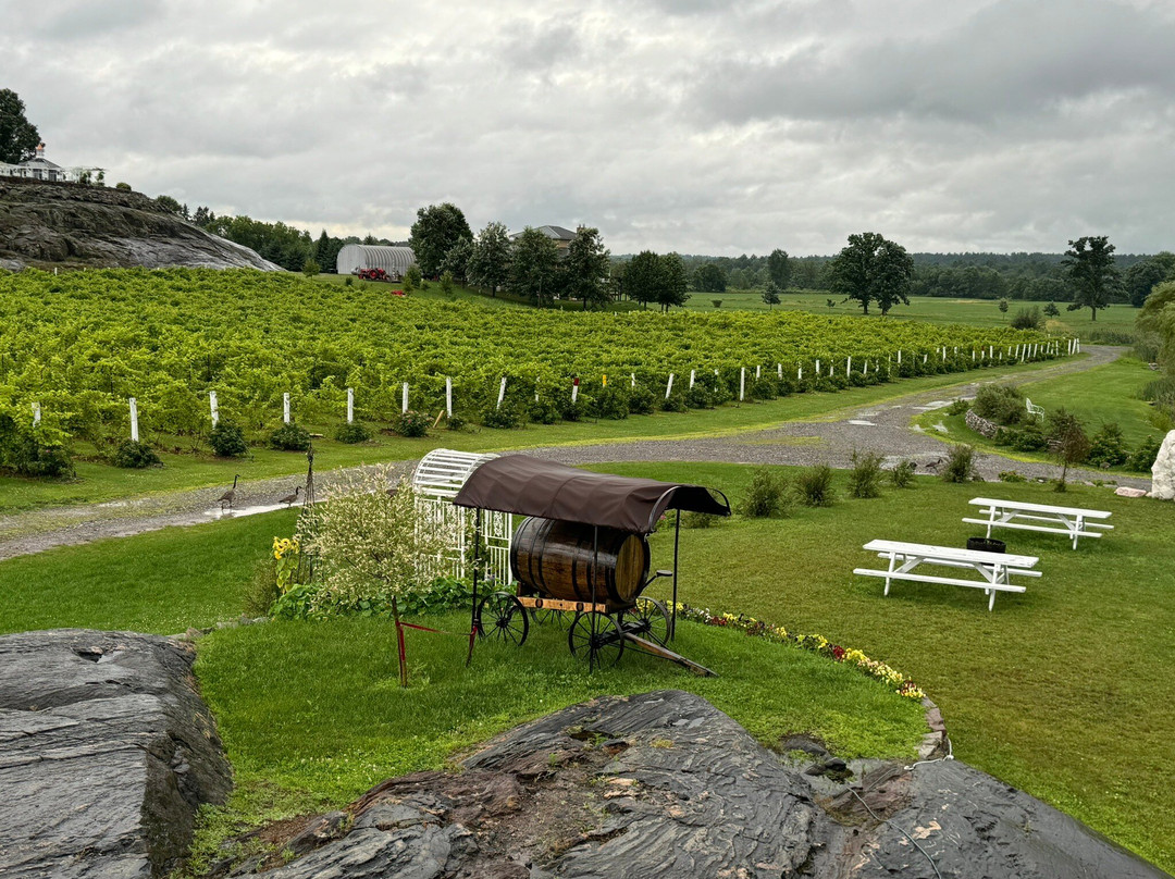 Potter Settlement Wines景点图片