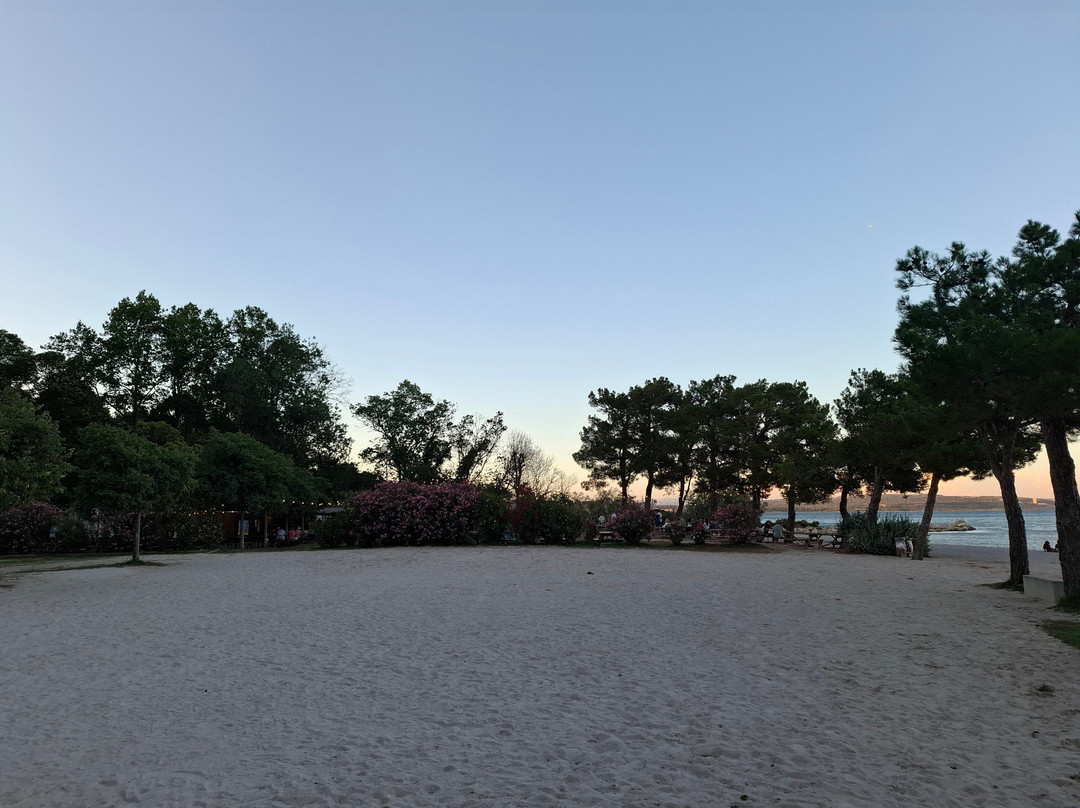 Plage de la Romaniquette景点图片