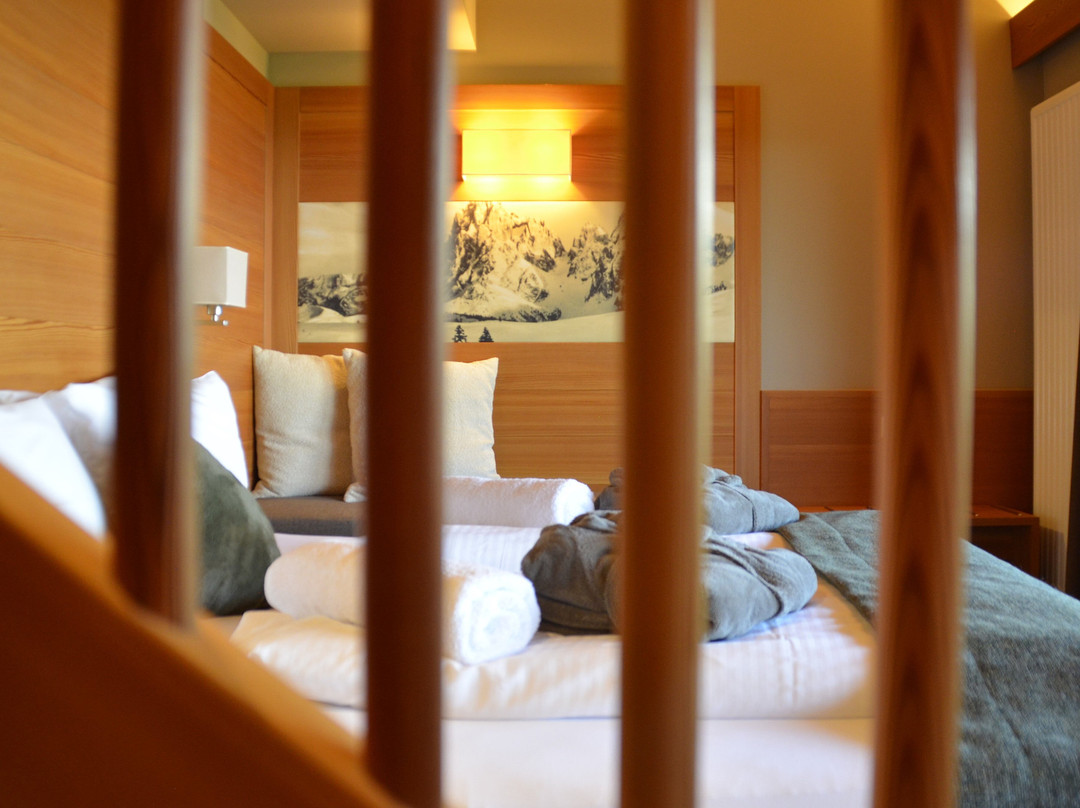 Berghotel Zorzi主图