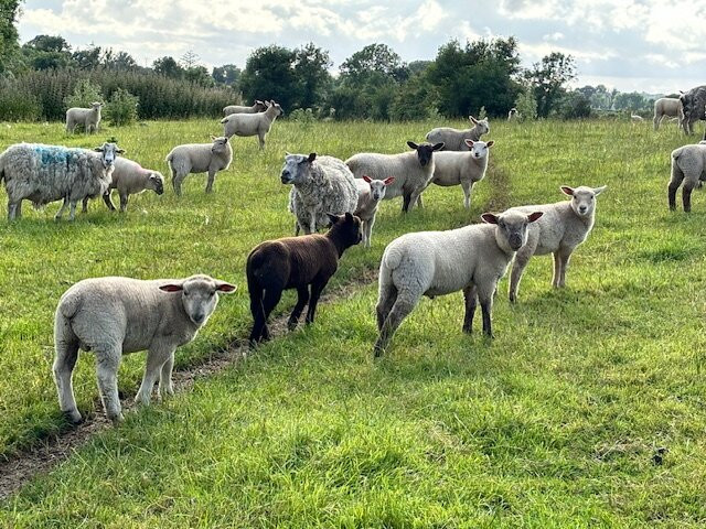 Fiona Egan Cloughan Farm & Cookery School景点图片