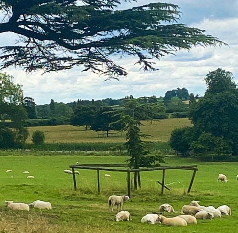 Claydon House景点图片