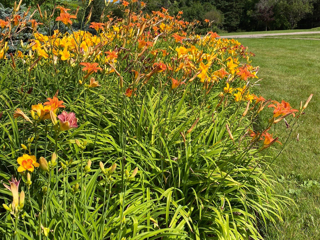 Irving Arboretum-Bouctouche必去景点