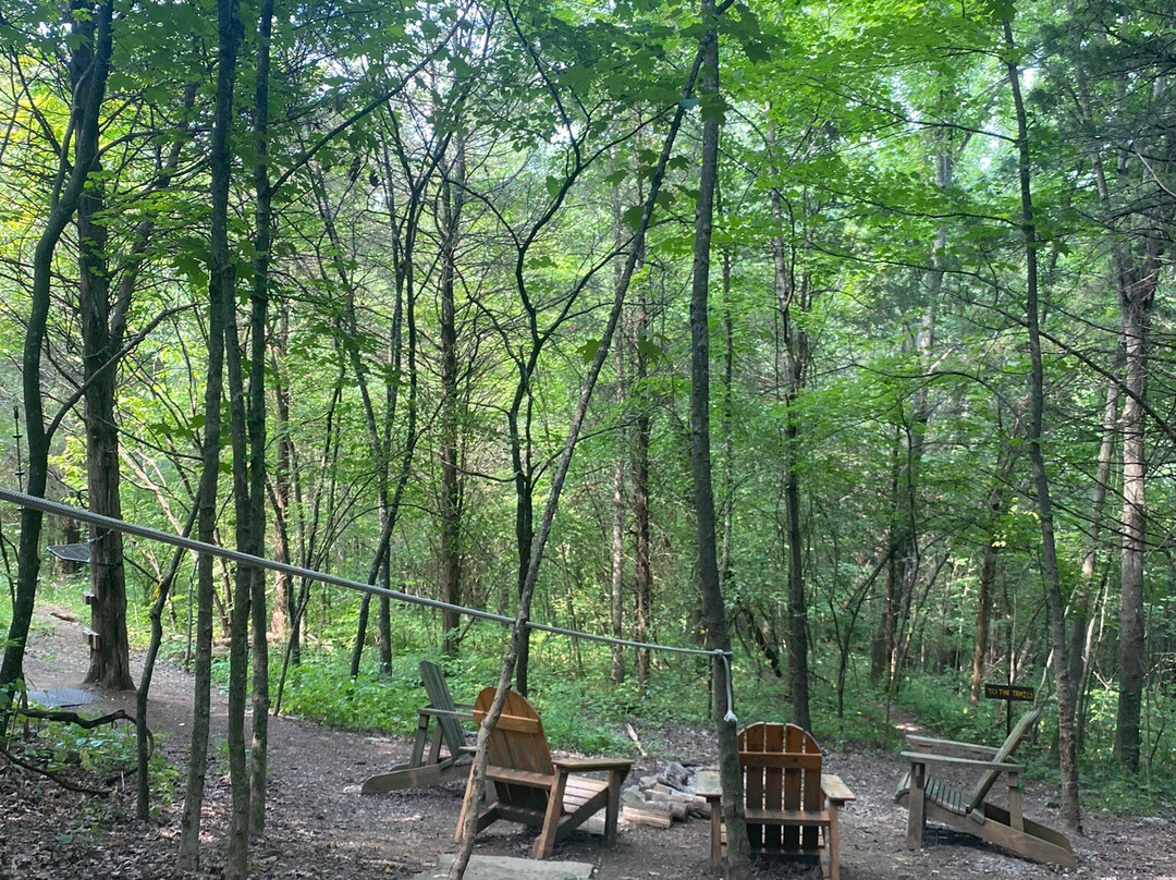 EarthJoy TreeHouse Adventures-Brooksville必去景点