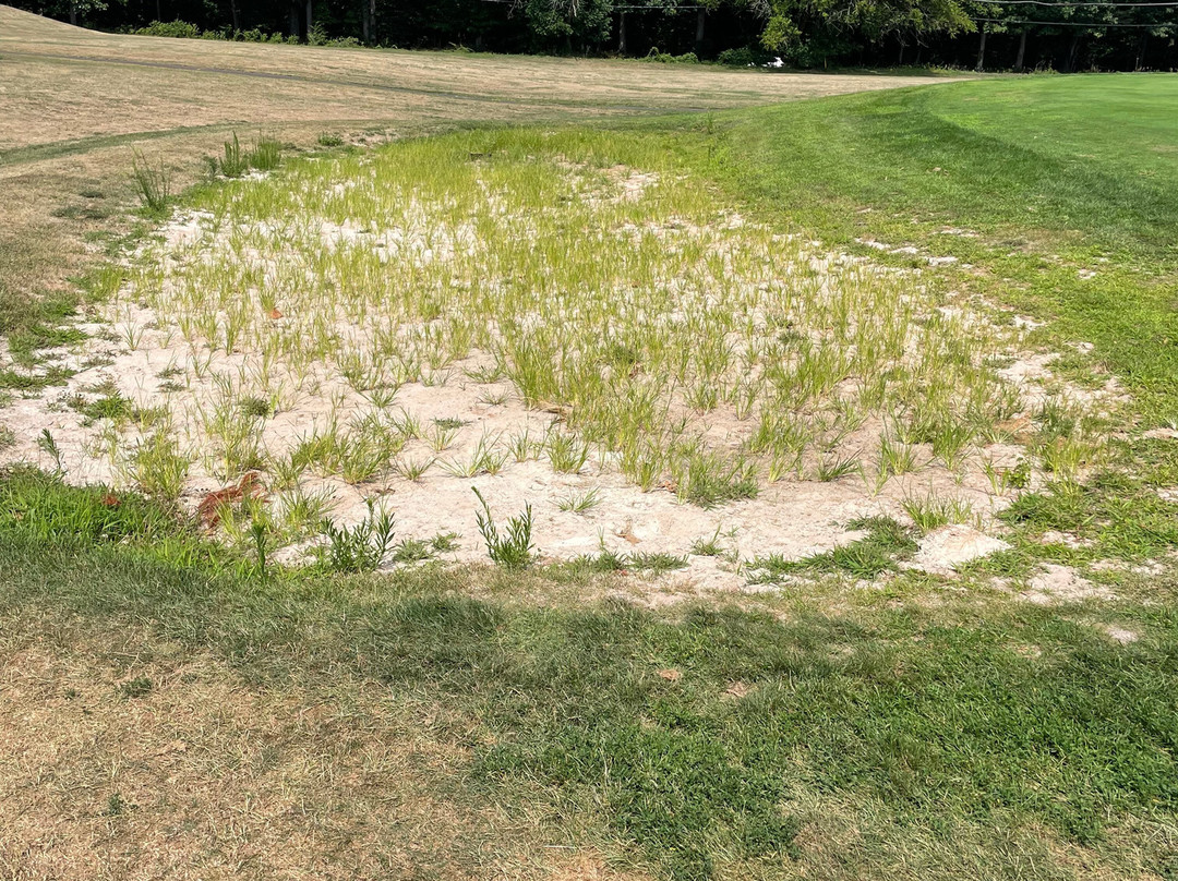 Neshaminy Valley Golf Club景点图片