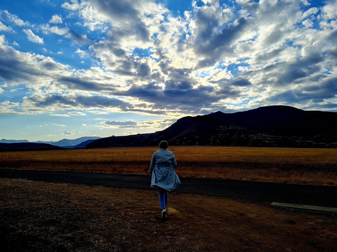 Bibliophile-克拉伦斯必去景点