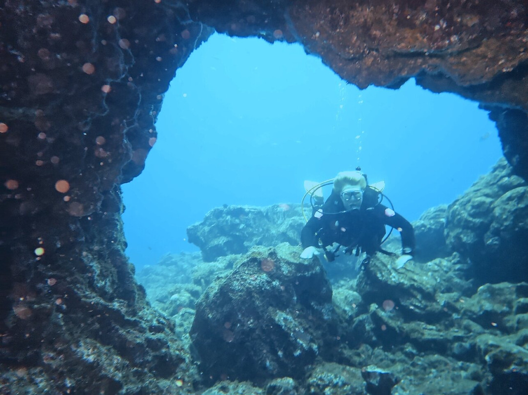 Sao Jorge Dive and Sail Center-Sao Jorge必去景点