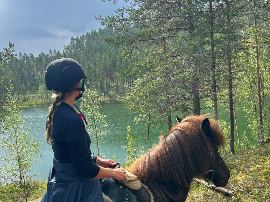 Horses of Taiga-Svansele必去景点