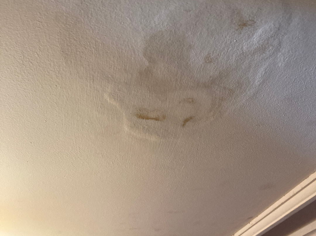 Prince of Wales主图