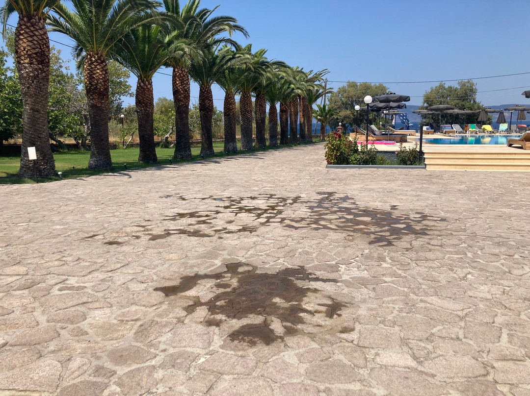 Bella Vista Hotel主图