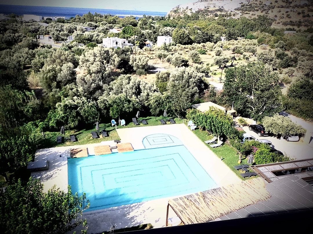 Paralos The Maxine主图