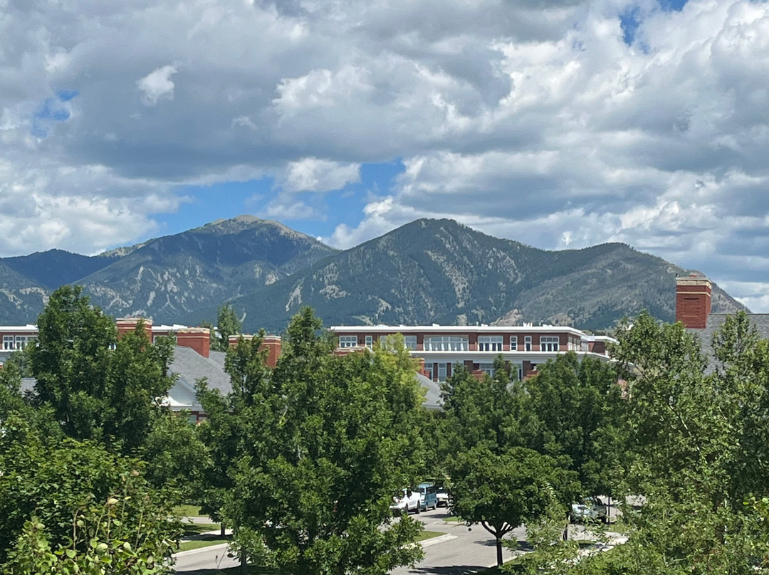 Residence Inn by Marriott Bozeman Downtown主图