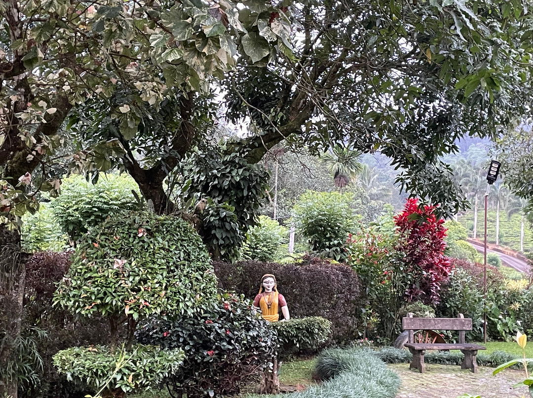 Ebony Springs Specialty Teas and Home Stay Accommodation主图