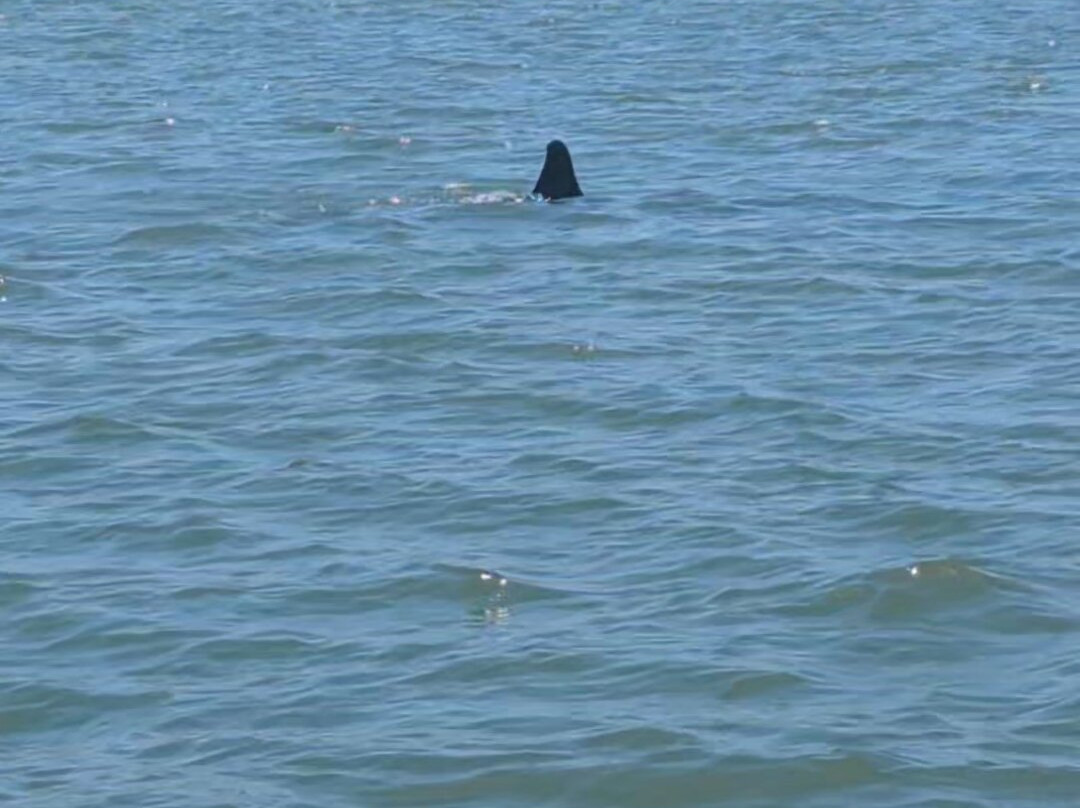 Parasailing The Pass-特雷热岛必去景点