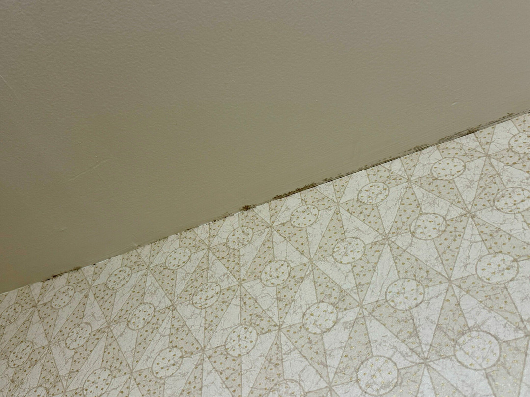 Residence Inn Aberdeen at Ripken Stadium主图