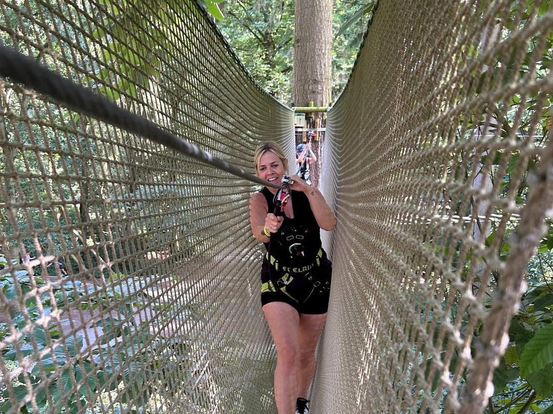 Go Ape Thetford景点图片