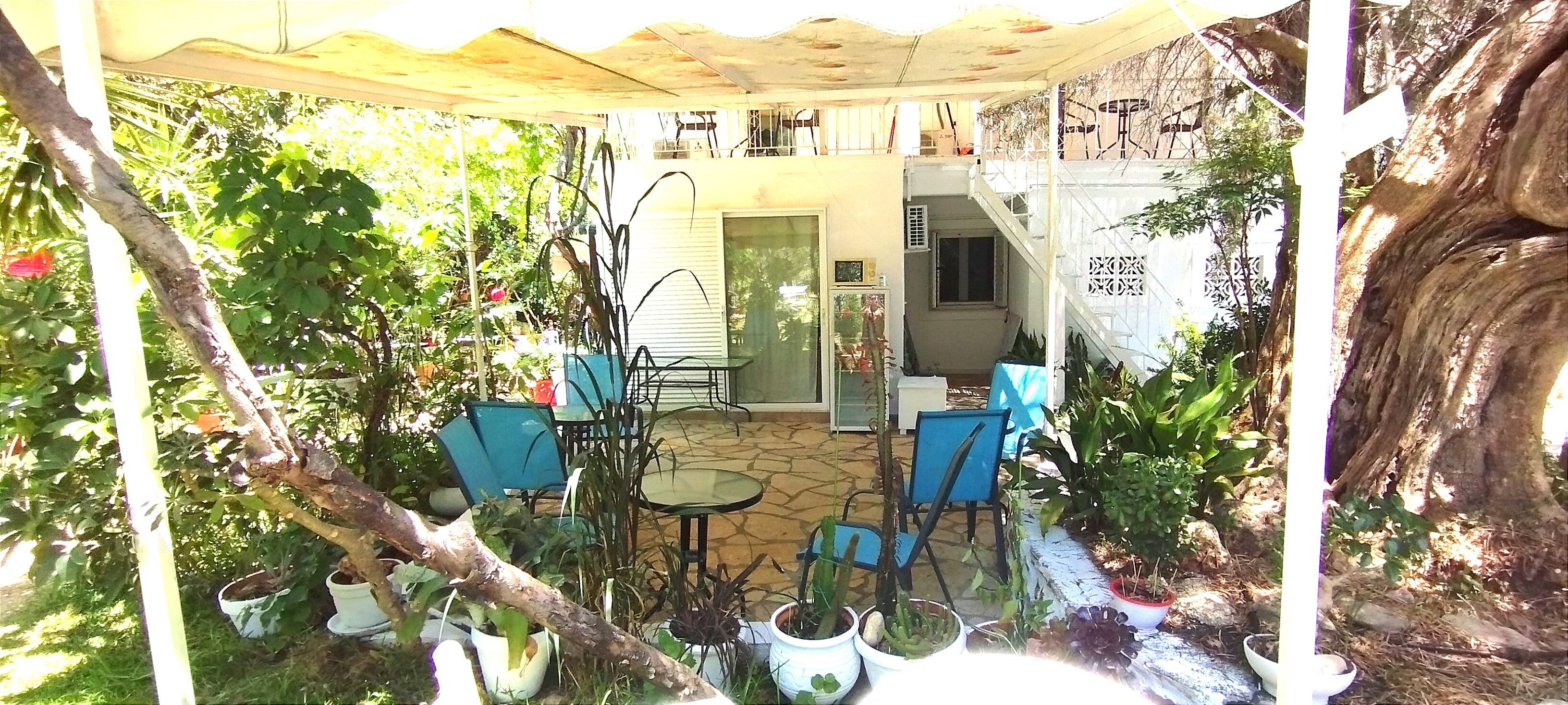 Aleka's House-官方