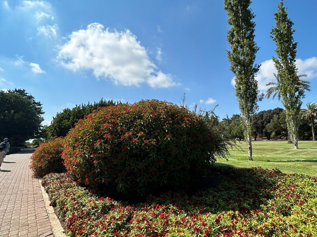 Ramat HaNadiv-Zichron Yaakov必去景点