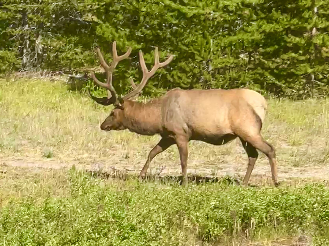 信号山旅馆主图