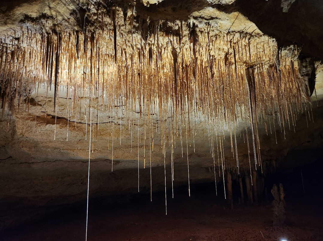 Naracoorte Caves National Park景点图片