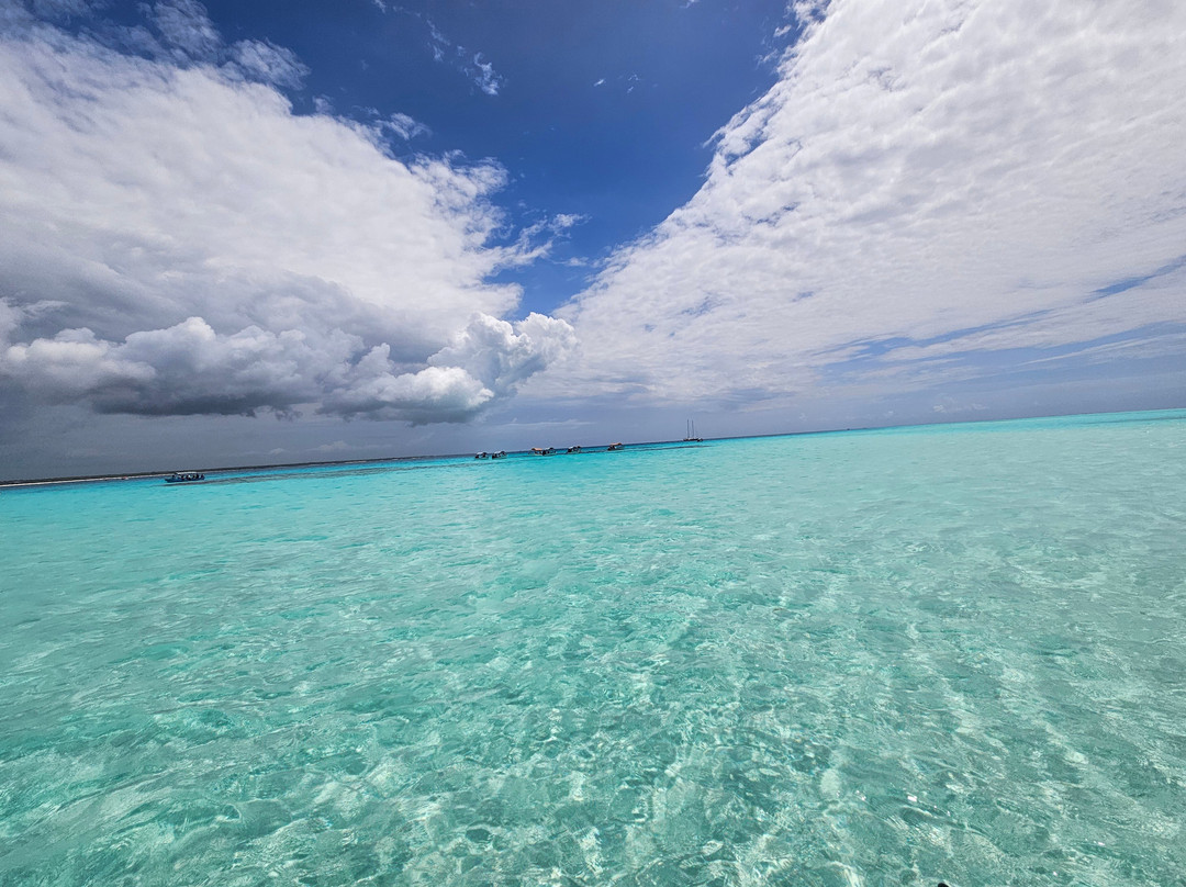 King Zanzibar Tours and Safari-Bububu必去景点