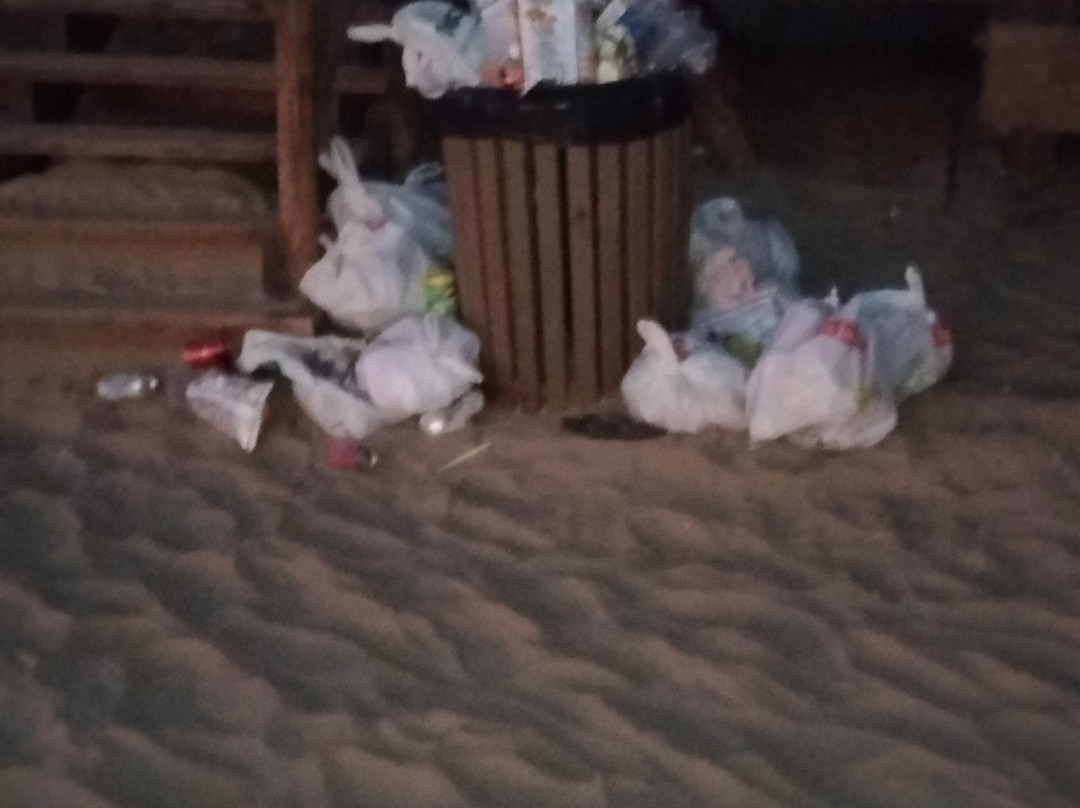 Playa de La Gaviota景点图片