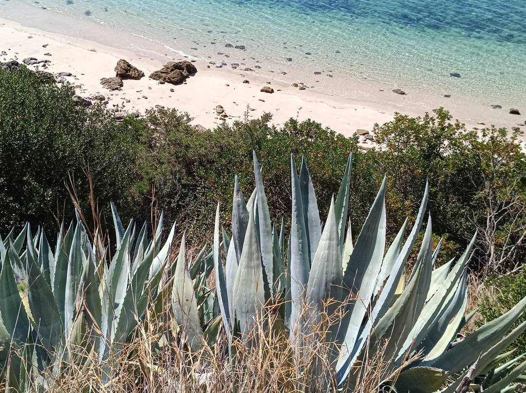 BoatCenter-Setubal必去景点