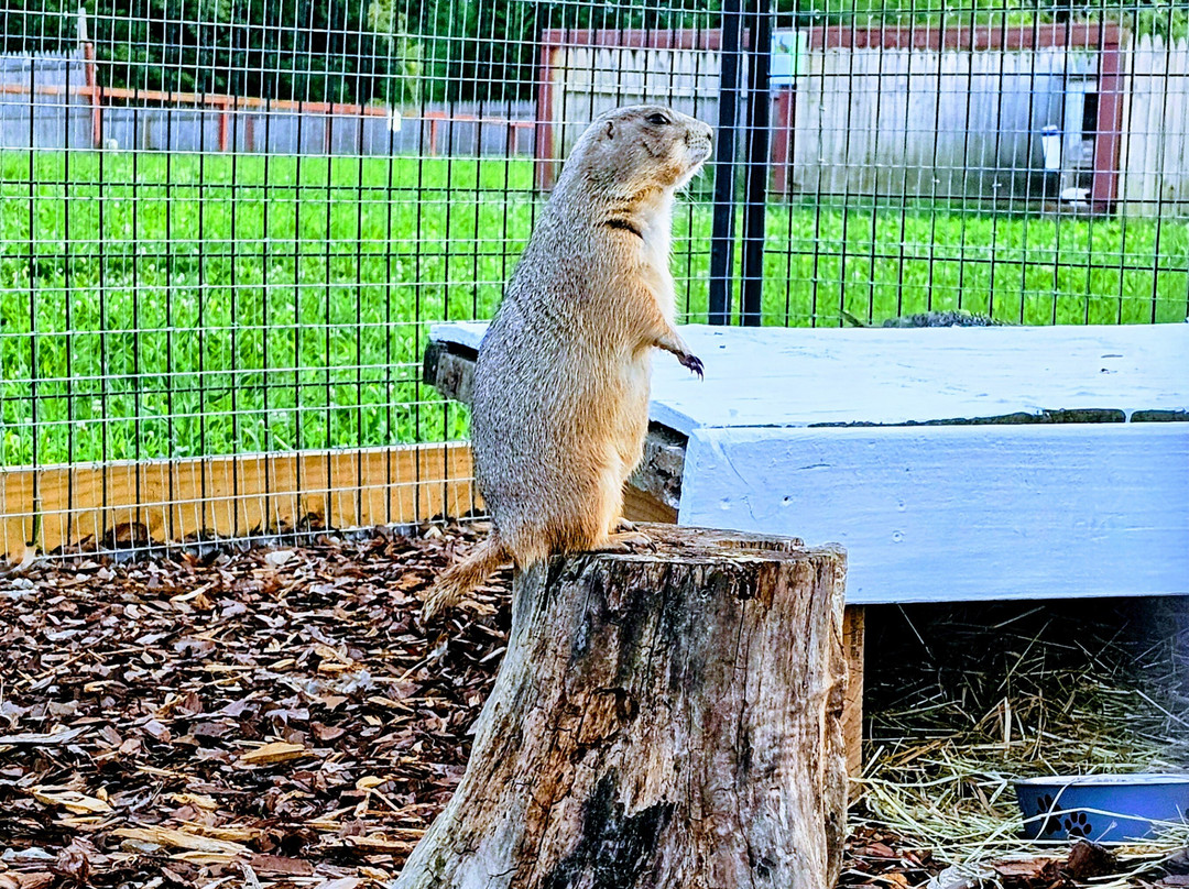 3 Palms Zoo & Education Center-Townsend必去景点