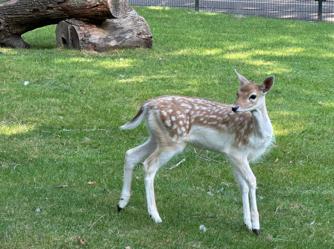 Kasteelpark Born-Born必去景点