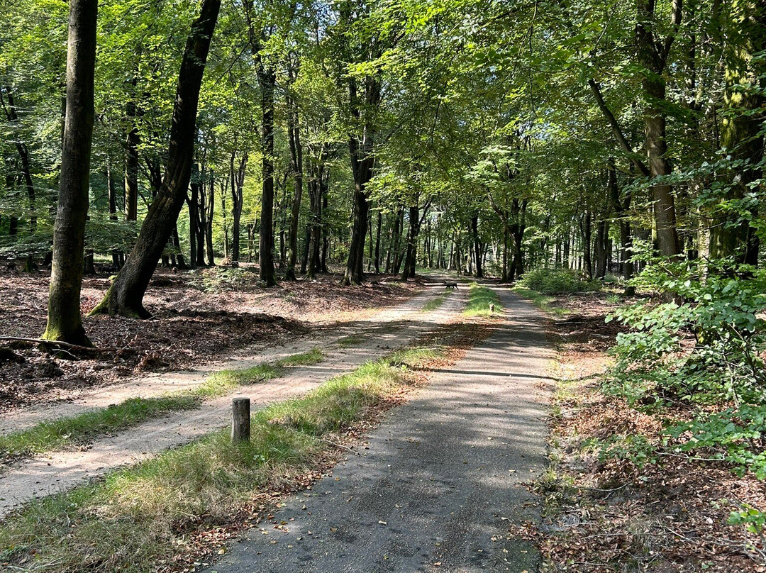 Mountainbiken Op De Veluwe-Emst必去景点