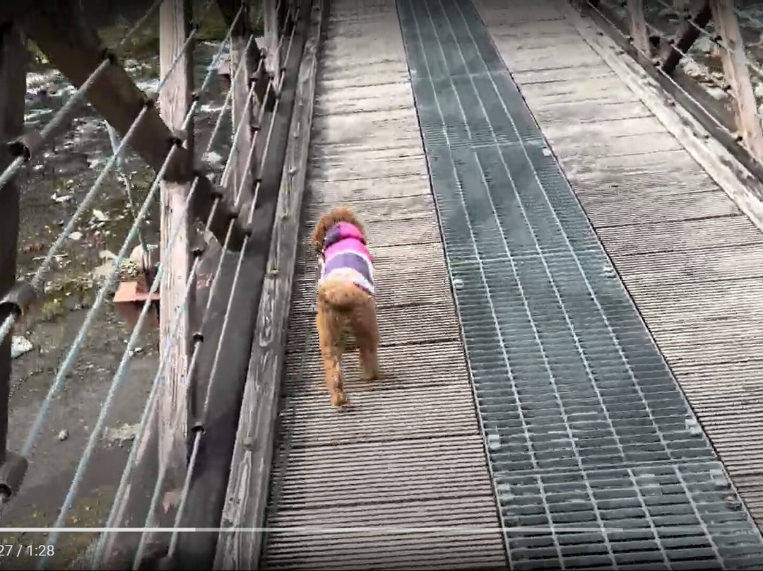 Nanatsuiwa Suspension Bridge-那须盐原市必去景点